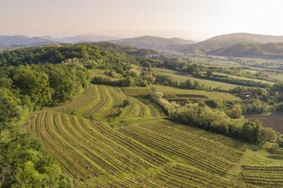 Agriturismo Spolert Winery Prepotto  ภายนอก รูปภาพ