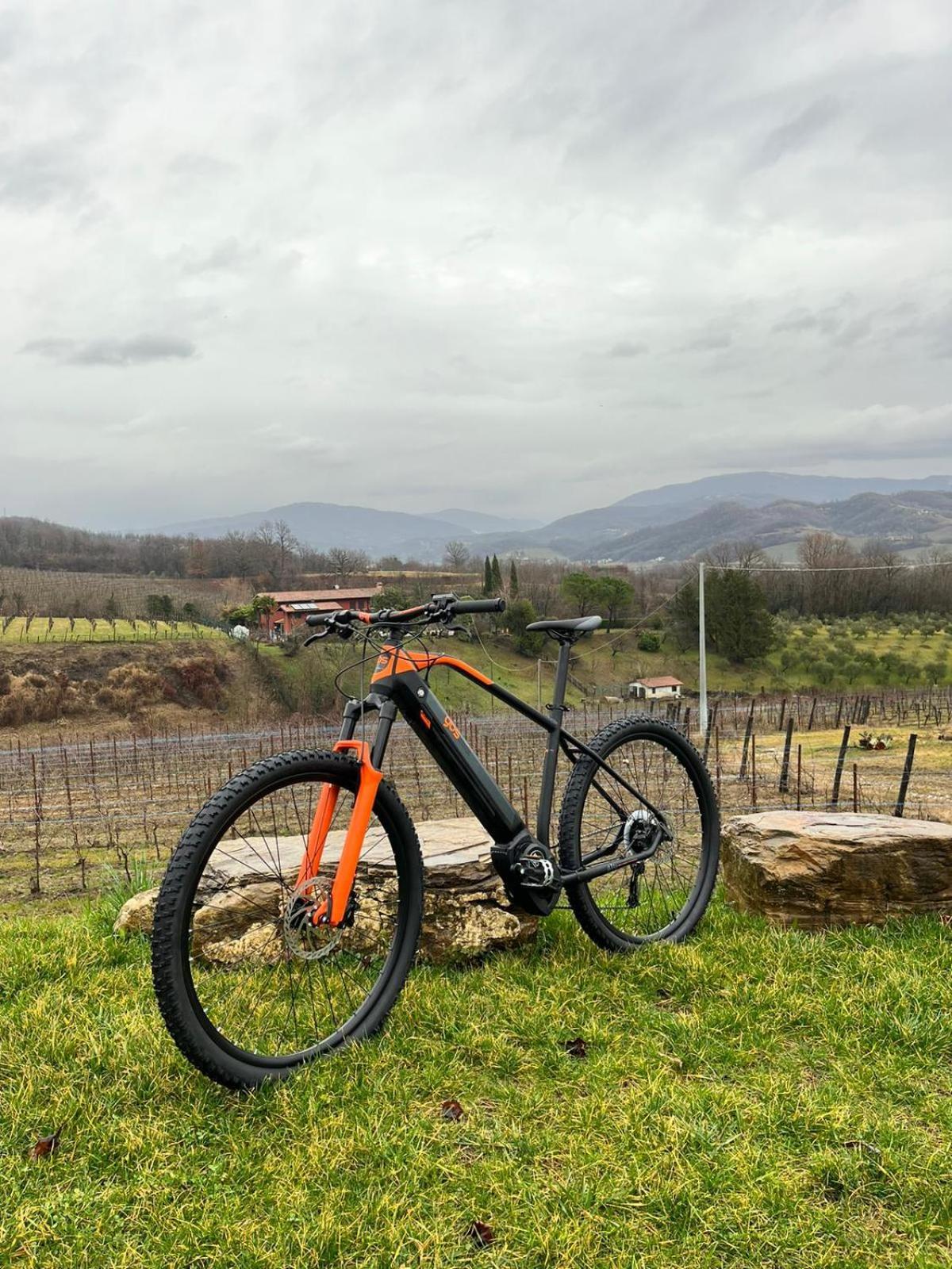 Agriturismo Spolert Winery Prepotto  ภายนอก รูปภาพ